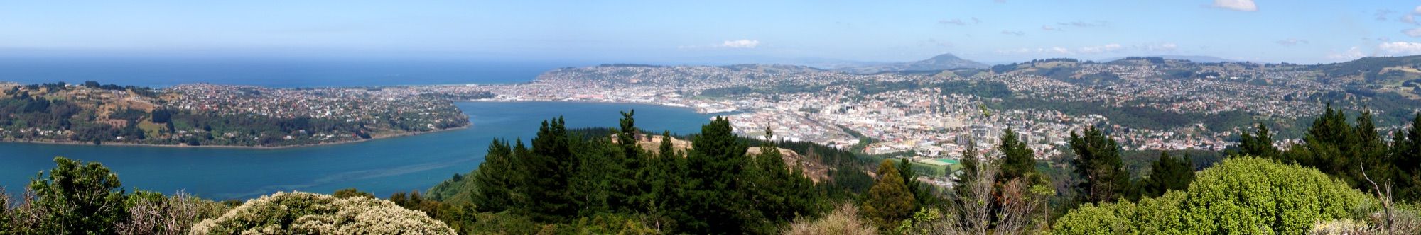 Blick über Dunedin in Neuseeland
